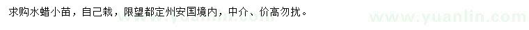求購(gòu)水蠟小苗