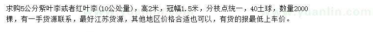 求購5公分紫葉李或紅葉李