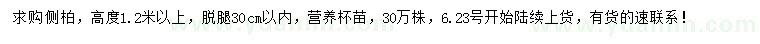 求購高1.2米以上側柏