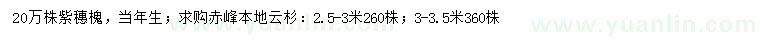 求購2.5-3、3-3.5米云杉、當(dāng)年生紫穗槐