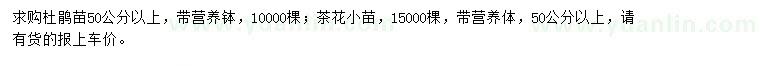 求購50公分以上杜鵑、茶花小苗