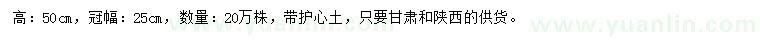 求購高50公分高山黃楊