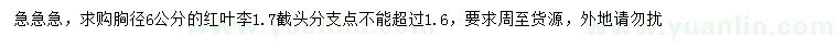 求購(gòu)胸徑6公分紅葉李