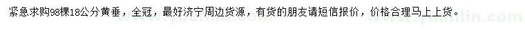 求購18公分黃垂