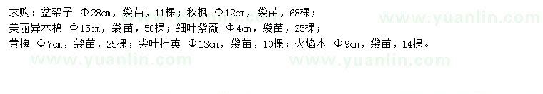 求購(gòu)盆架子、秋楓、美麗異木棉等