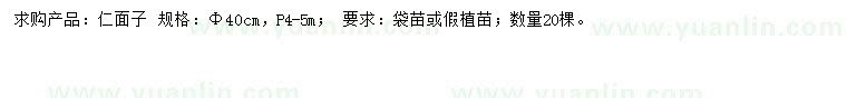 求購40公分仁面子