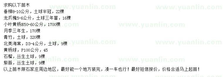 求購垂柳、龍爪槐、小葉黃楊等