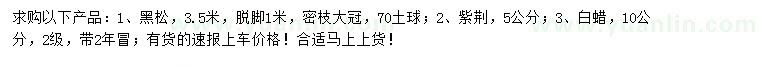 求購(gòu)黑松、紫荊、白蠟