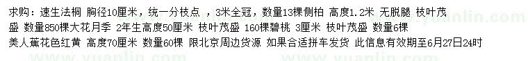 求購(gòu)速生法桐、側(cè)柏、大花月季等