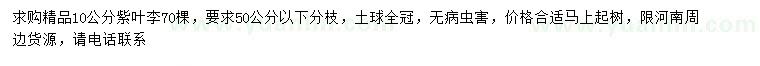 求購(gòu)10公分紫葉李