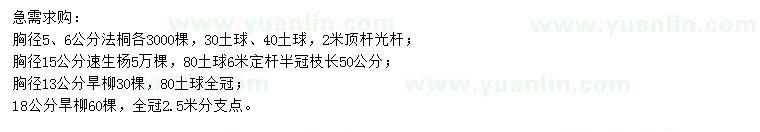 求購法桐、速生楊、旱柳