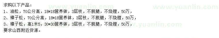 求購70公分油松、樟子松、1米5樟子松