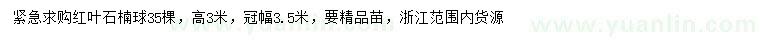 求購高3米紅葉石楠球
