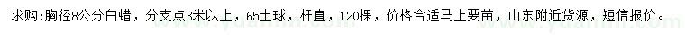 求購胸徑8公分白蠟