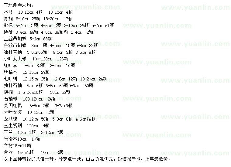 求購木瓜、青桐、枇杷等