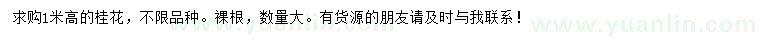 求購(gòu)1米高桂花