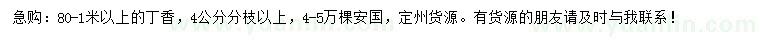 求購(gòu)80-1米以上丁香