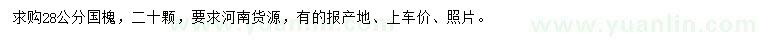 求購28公分國槐
