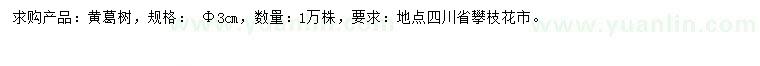 求購3公分黃葛樹