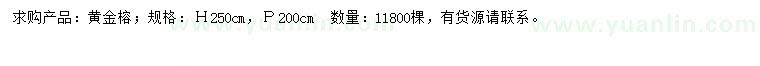 求購高250公分黃金榕