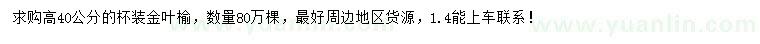 求購(gòu)高40公分金葉榆