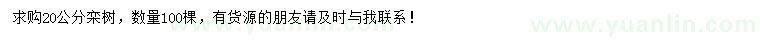 求購20公分欒樹