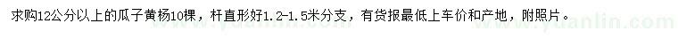 求購(gòu)12公分以上瓜子黃楊