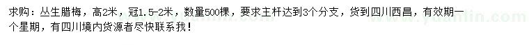 求購高2米叢生臘梅