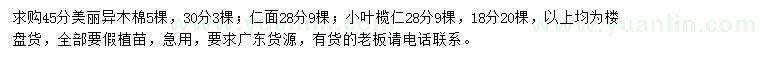 求購美麗異木棉、仁面、小葉欖仁