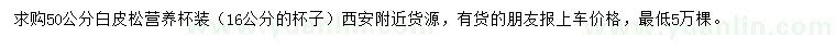 求購50公分白皮松