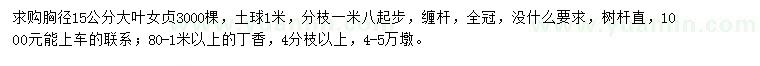 求購(gòu)胸徑15公分大葉女貞、80-1米丁香