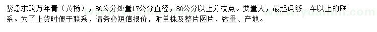 求購80公分量17公分萬年青