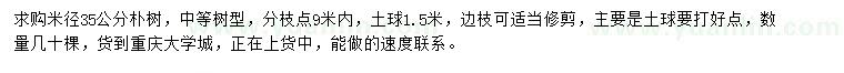 求購米徑35公分樸樹