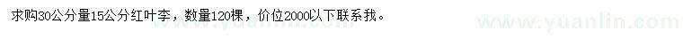 求購30公分量15公分紅葉李