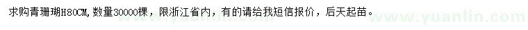 求購高80公分青珊瑚