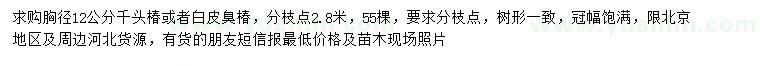 求購(gòu)胸徑12公分千頭椿或者白皮臭椿