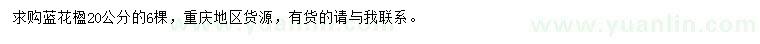 求購20公分藍花楹