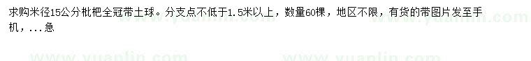 求購米徑15公分枇杷