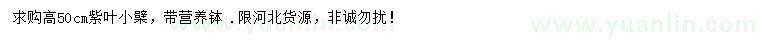 求購高50公分紫葉小檗
