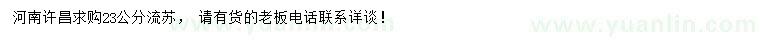 求購(gòu)23公分流蘇