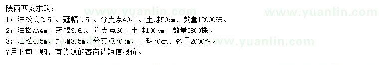 求購高2.5、4、4.5米油松