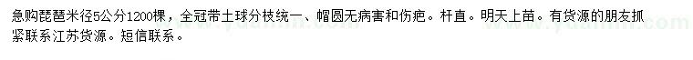 求購(gòu)米徑5公分枇杷