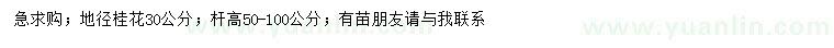 求購(gòu)地徑30公分桂花
