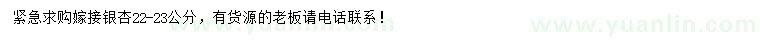 求購22-23公分銀杏
