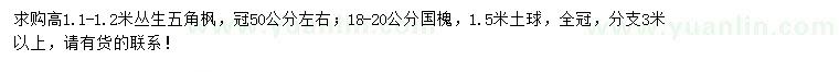 求購高1.1-1.2米叢生五角楓、18-20公分國槐