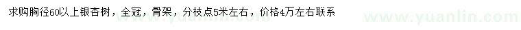 求購(gòu)胸徑60公分以上銀杏樹(shù)