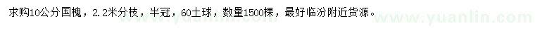 求購10公分國槐