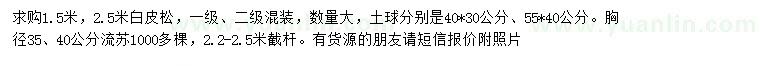 求購1.5、2.5米白皮松、胸徑35、40公分流蘇