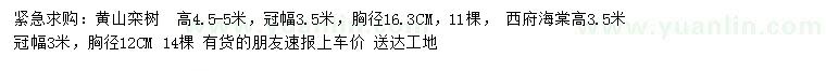 求購胸徑16.3公分黃山欒樹、胸徑12公分西府海棠