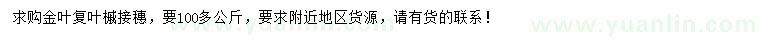 求購金葉復(fù)葉槭接穗